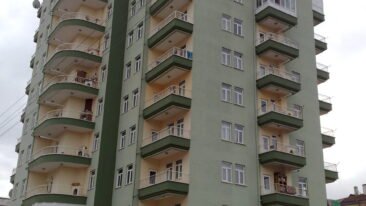 03022009061