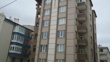 DSC02358
